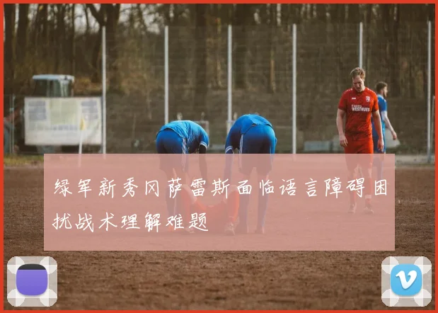 绿军新秀冈萨雷斯面临语言障碍困扰战术理解难题